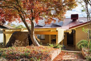 A house with a covered patio, a large tree with autumn leaves, and a brick pathway. - THE GREENERY Castlemaine- whole house comfort + extensive gardens -dog friendly (Castlemaine)