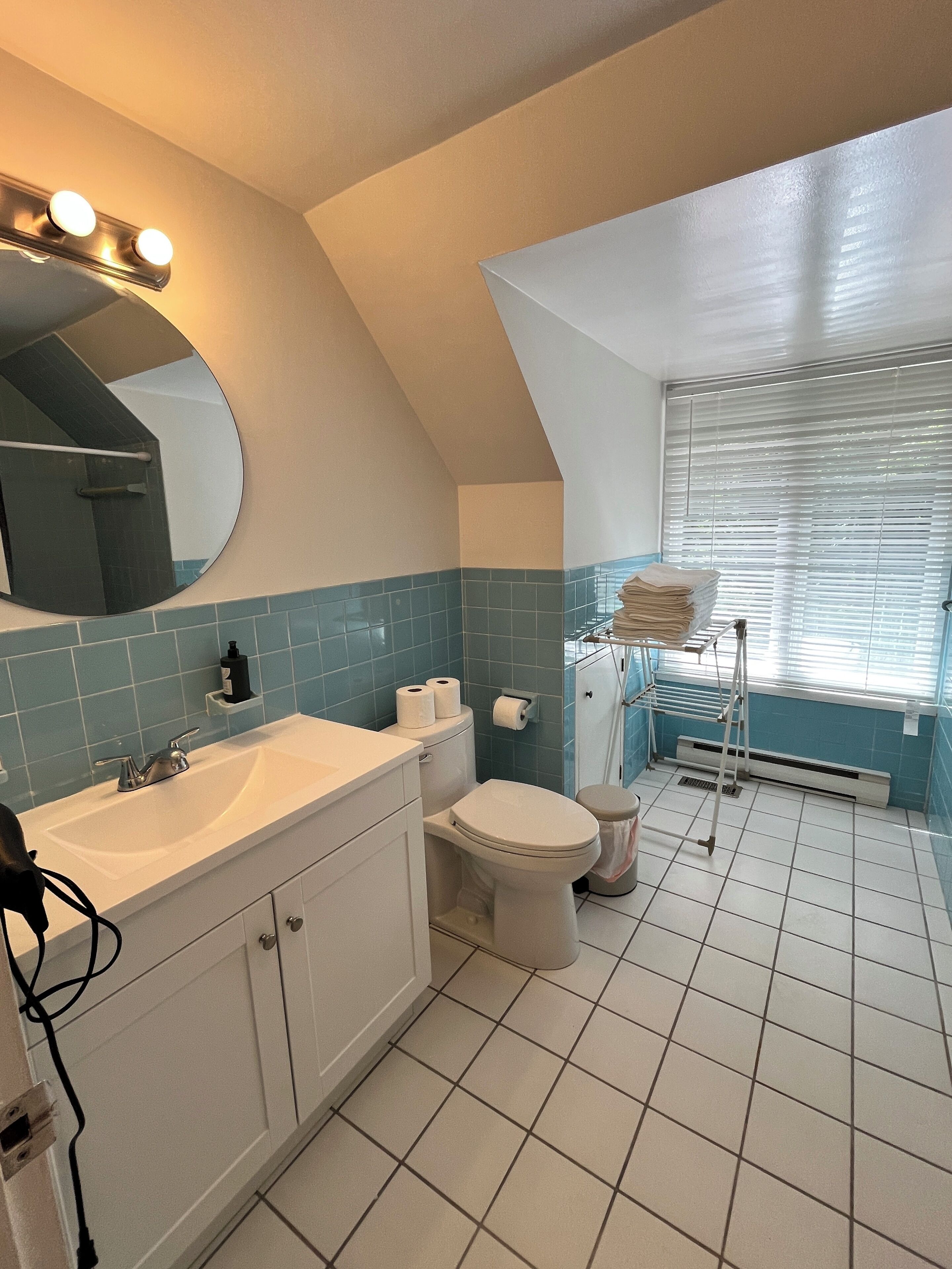 Hair dryer, towels, soap, toilet paper