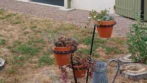 A rustic outdoor area with a wooden chair, a potted plant, a metal watering can, and a door with a green shutter.
