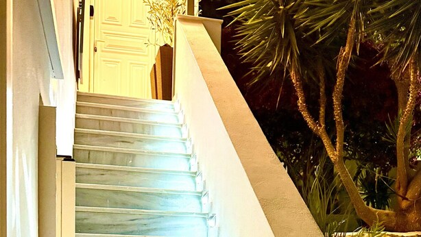 A set of stairs leading to a door, with a palm tree and a planter with white stones visible. - Naousaki Premium Studios 1 - Heart of Naousa, Paros (Naousa)