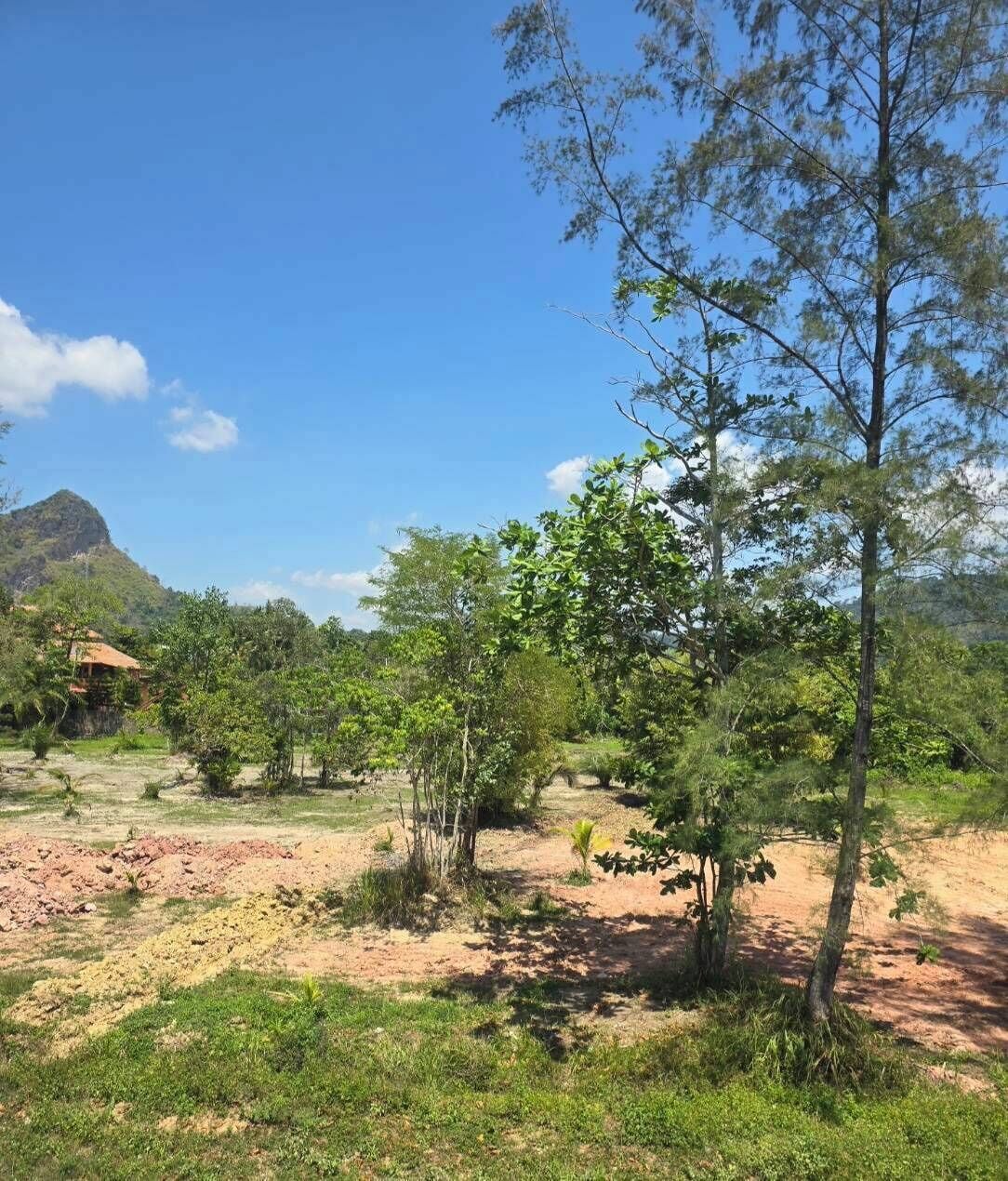 Single Room, Hill View | Terrace/patio
