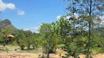Single Room, Hill View | Terrace/patio
