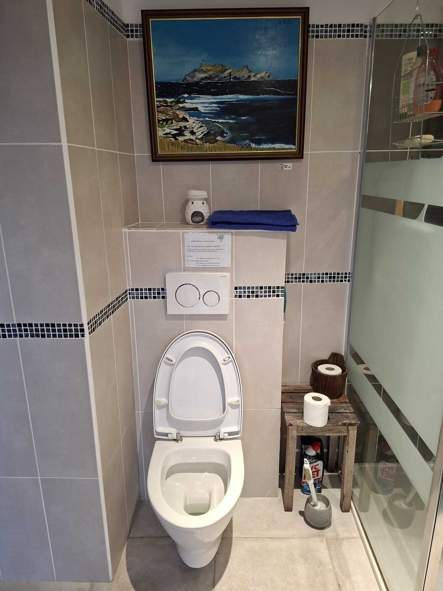 Um banheiro pequeno com vaso sanitário, uma prateleira com produtos de higiene e um quadro na parede.