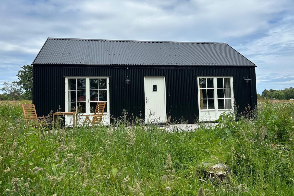 Cabana de luxe, bany privat, vistes al pati (Cabin No. 5) | Exterior