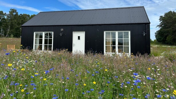 Ein schwarzes Gebäude mit einer weißen Tür und Fenstern, umgeben von einer Blumenwiese.
