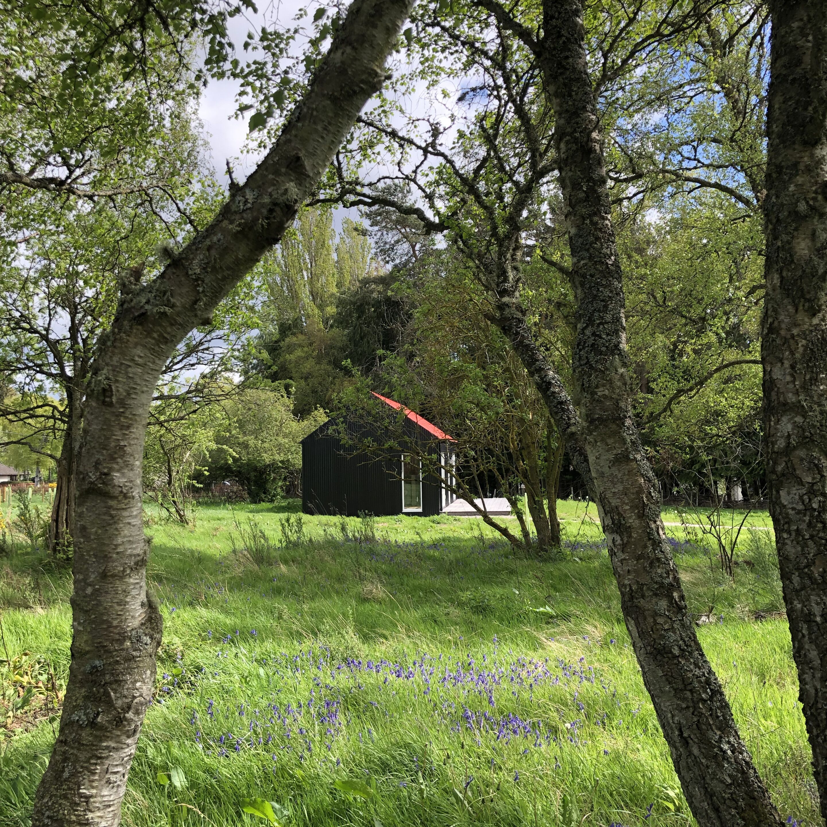 A rural landscape with a barn, trees, and wildflowers.