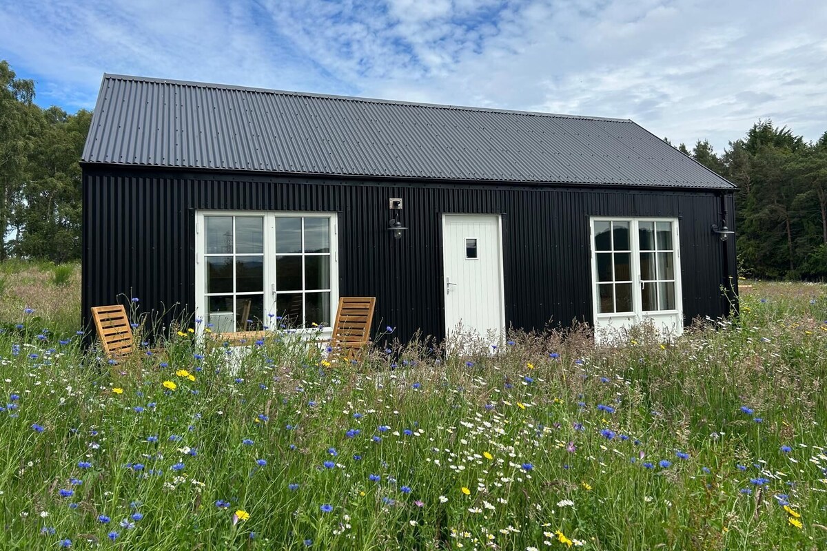 A black metal building with two windows and a door, surrounded by a field of wildflowers.