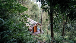 Una cabaña apartada rodeada de un bosque denso, con una terraza de madera y una escalera que lleva a la entrada.