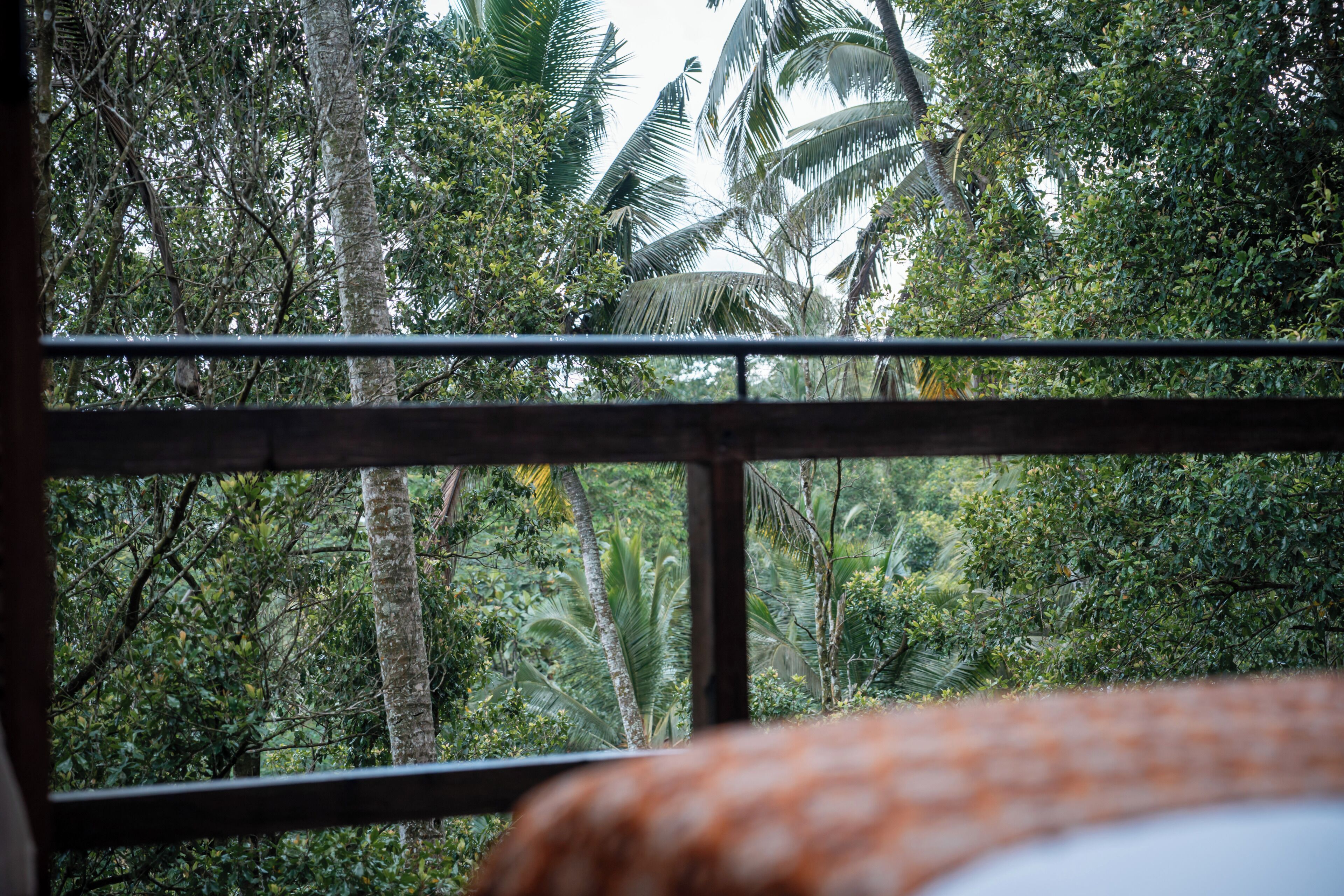 Villa, 1 Bedroom | Property grounds
