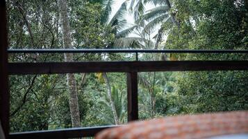 Villa, 1 Bedroom | Property grounds