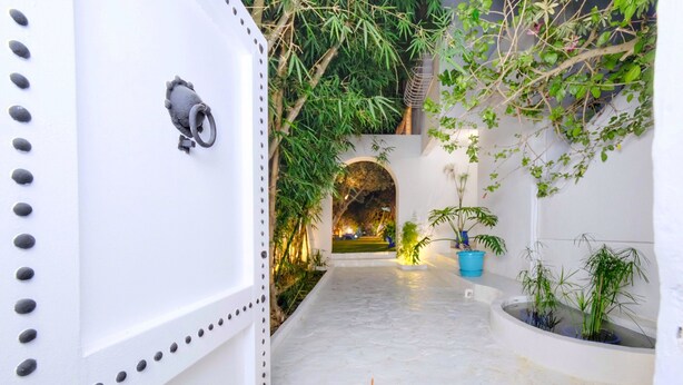 Un pasillo blanco con una puerta metálica, plantas en macetas y una entrada arqueada.