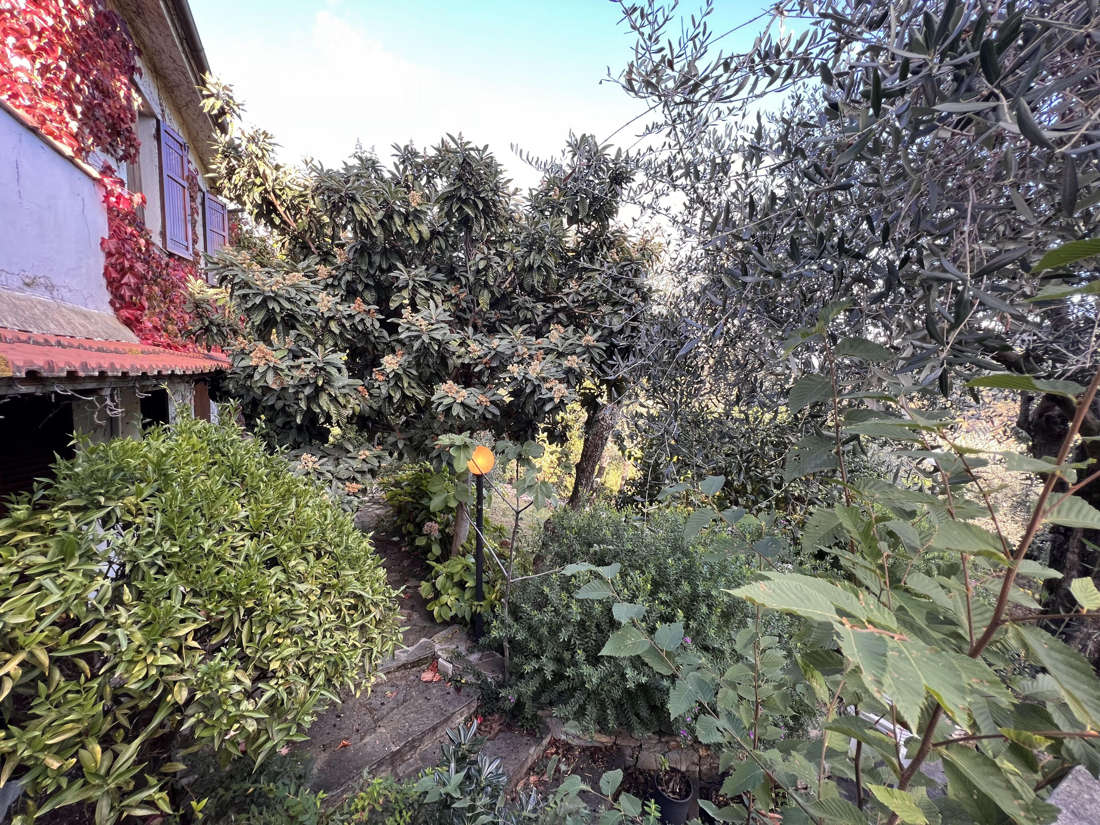Vila superior, vista para o jardim | Área da propriedade