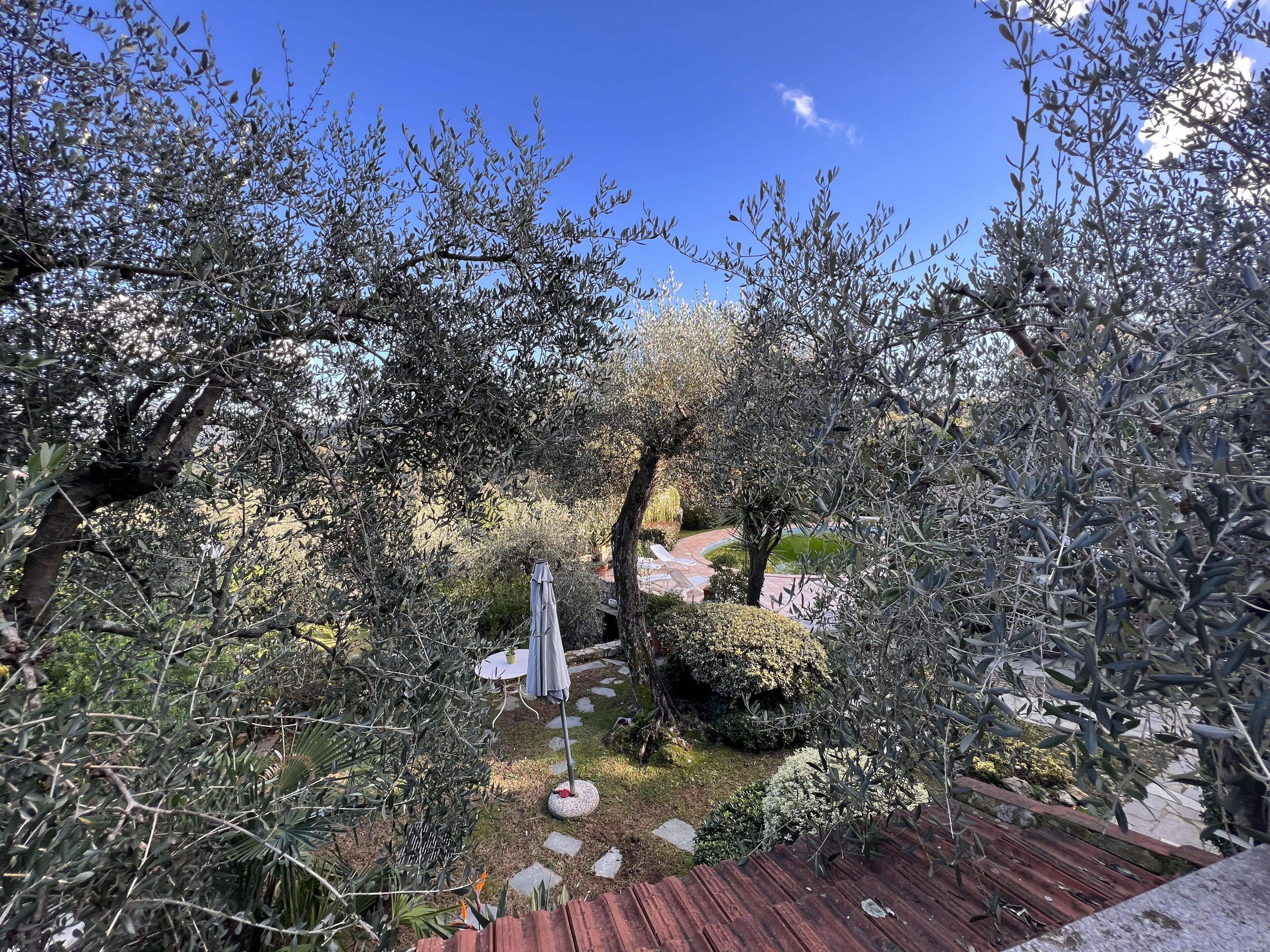 Vila superior, vista para o jardim | Área da propriedade