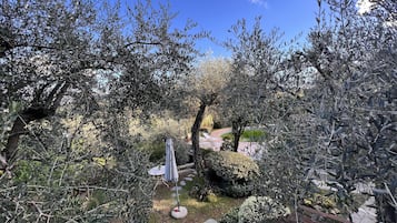 Superior villa, uitzicht op tuin | Terrein van de accommodatie