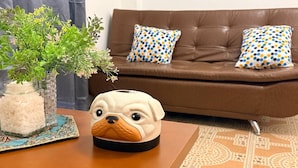 Ein braunes Ledersofa mit gemusterten Kissen, eine dekorative Vase mit Grünpflanzen und ein schwein-förmiges Keramikobjekt auf einem Holztisch.