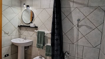 Shower, hair dryer, bidet, towels