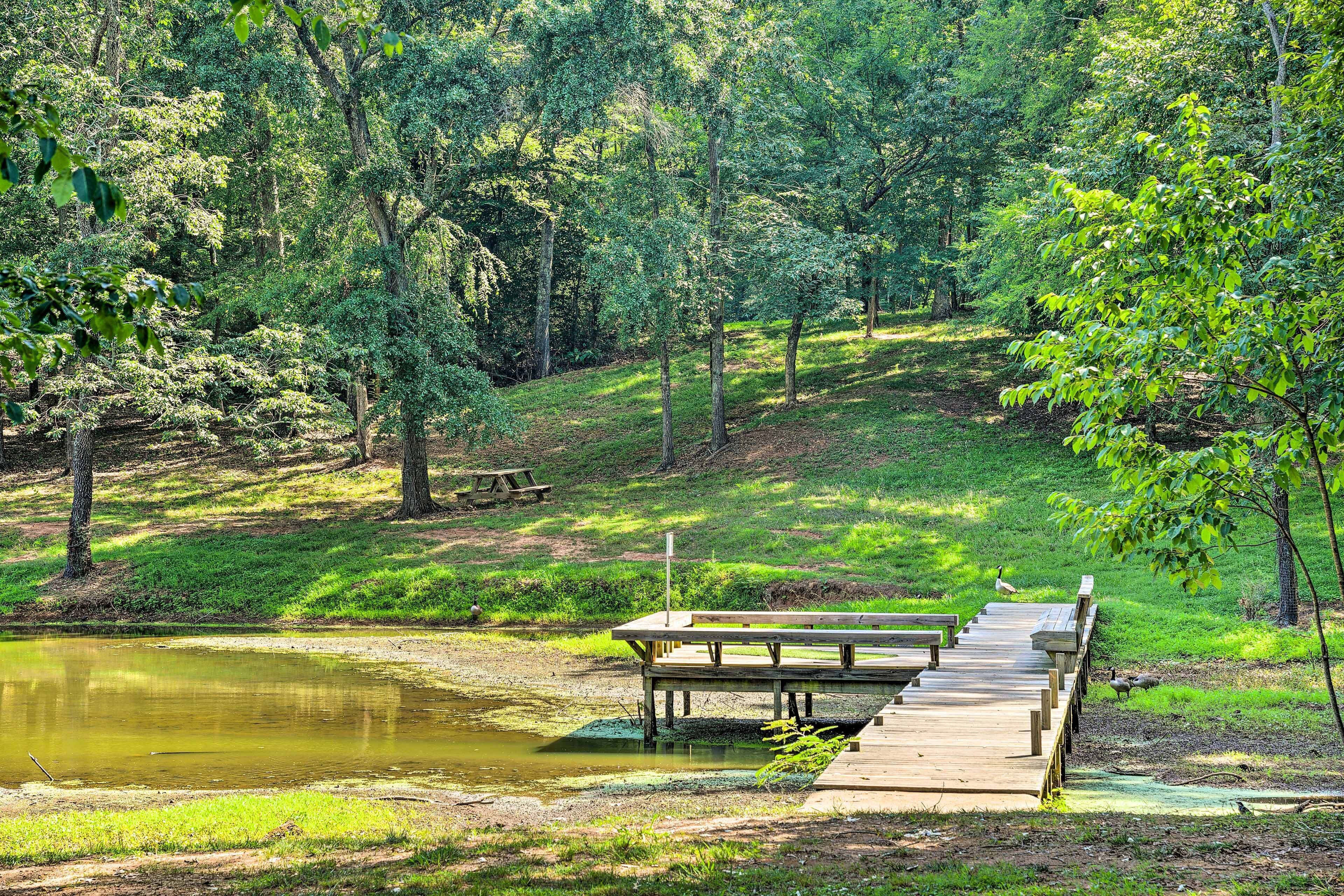 A wooden dock extending into a pond, surrounded by lush greenery and trees. - The Hunter's Retreat at Kudzu Cove Cabins Resort (Guntersville)