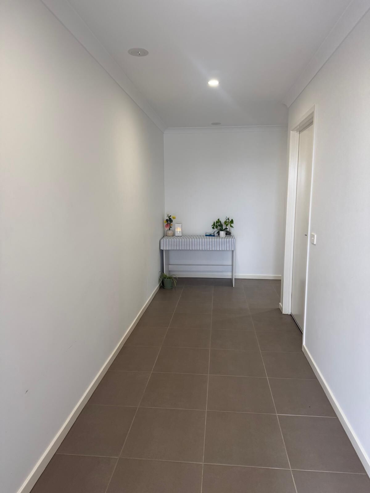 A hallway with a bench, potted plants, and a door.