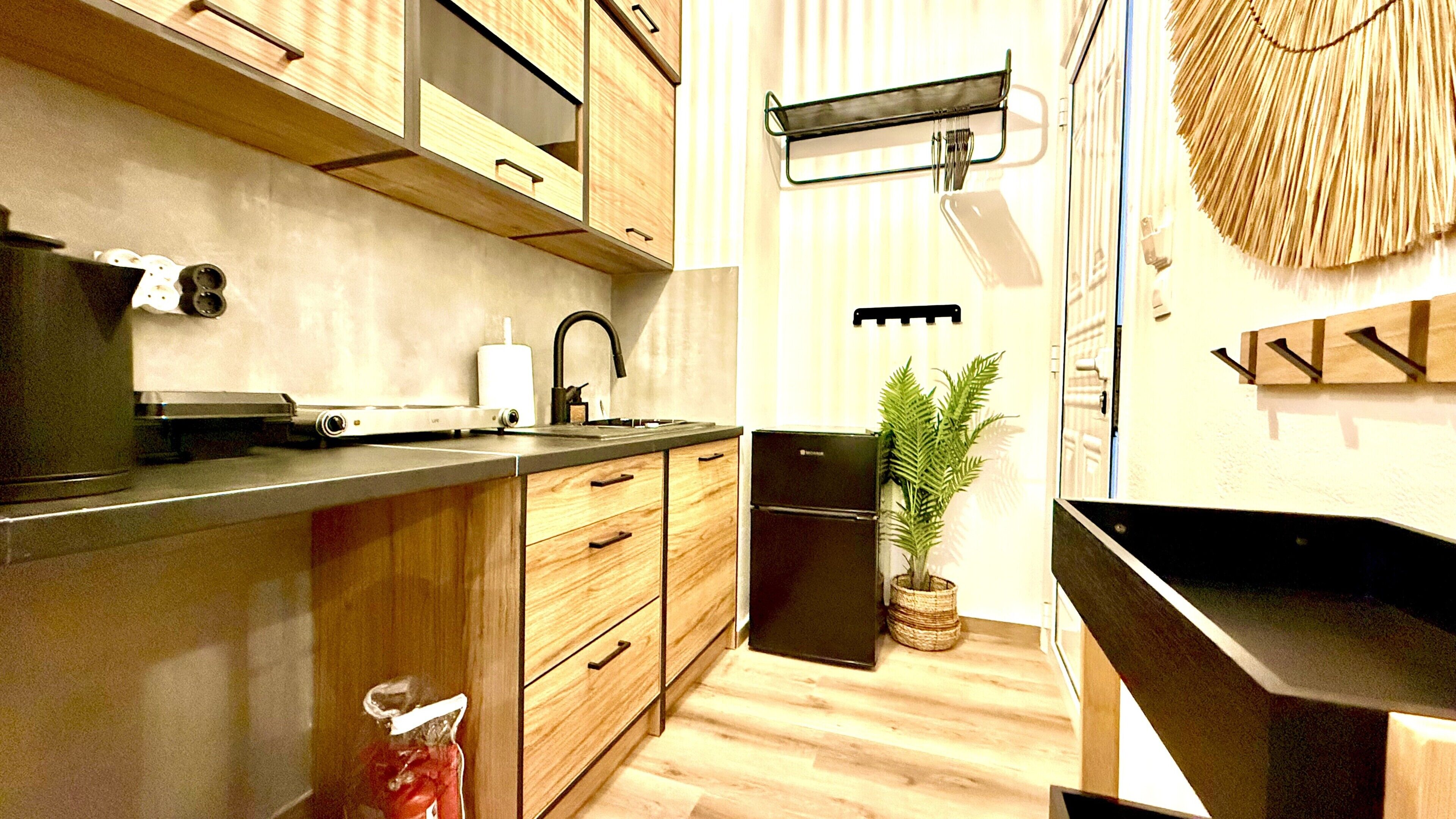 A compact kitchen with wooden cabinets, a black dishwasher, and a small potted plant.