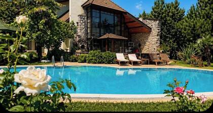 Stone House Kartepe Villa With Private Pool