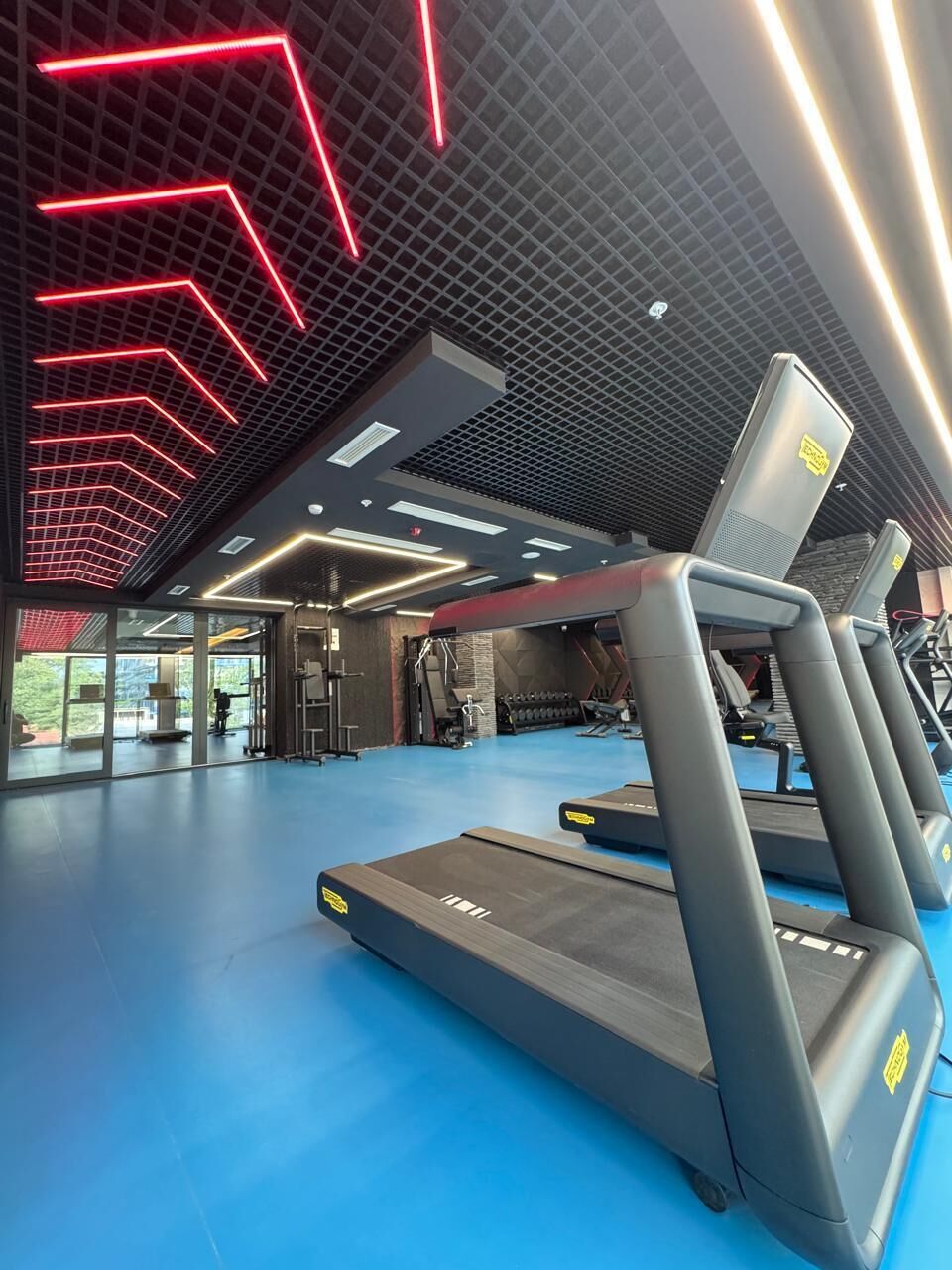 Gimnasium