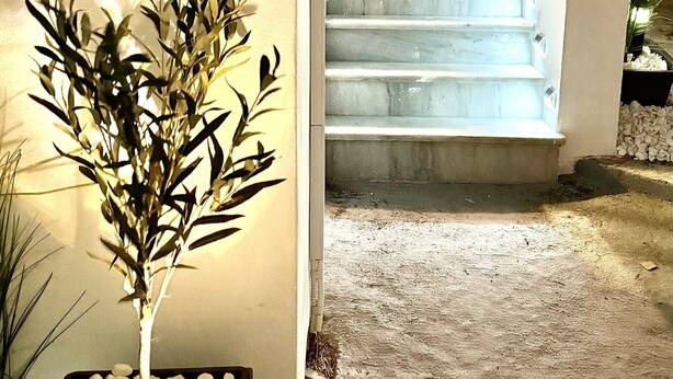 Una escalera que conduce a una puerta, rodeada de paredes y una planta en maceta.