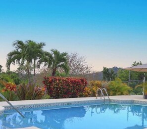 Una piscina sota un cel blau clar, envoltada de palmeres i vegetació colorida.