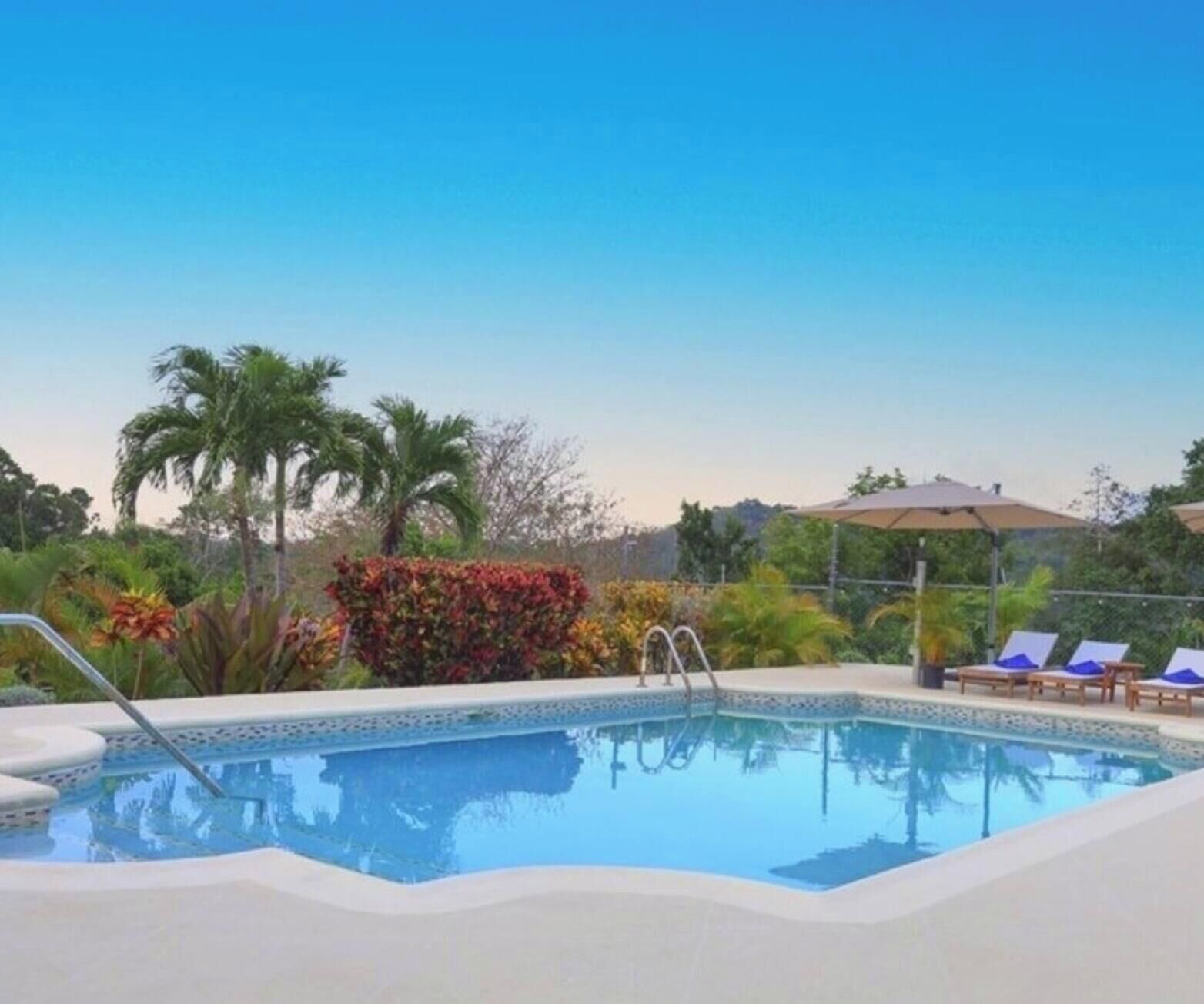 Une piscine à l’eau d’un bleu cristallin, entourée de palmiers et de différentes espèces de plantes.