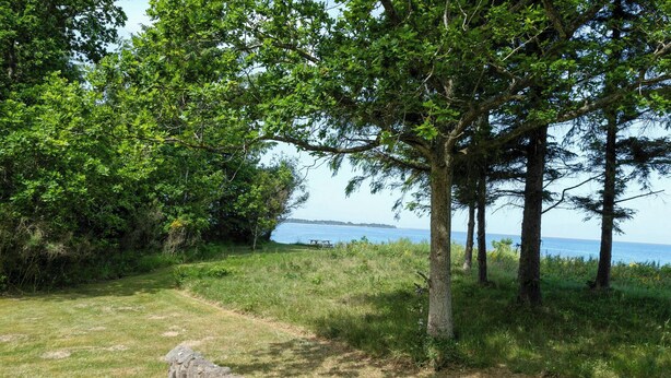 Et naturligt landskab med en græsplæne, en træpromenade og udsigt til havet.