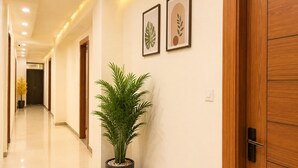A modern hallway with a potted plant, wooden doors, and framed artwork on the wall.