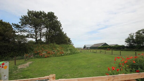 A fenced outdoor area with a grassy field, trees, and a building in the background. - Texel Nature Villa with Sauna (De Koog)