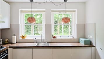 A kitchen with two windows, a sink, and a countertop.