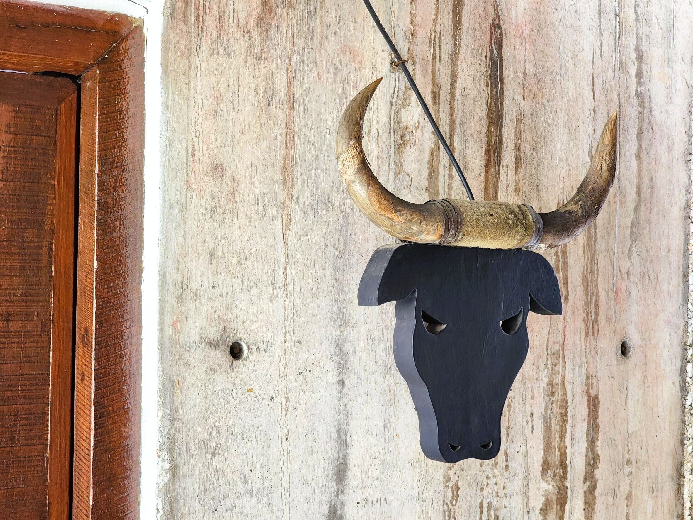 A bull's head mounted on a wall with a wooden door to the left.