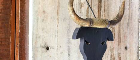 A bull's head mounted on a wall with a wooden door to the left.
