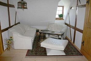 Smart-TV, Kamin
