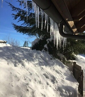 Property grounds - Holiday home in Feldberg with swimming pool (Feldberg)