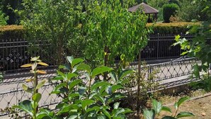 Ein Garten mit einem Weg, einem Zaun und Blick auf eine Stadt sowie Hügel in der Ferne.