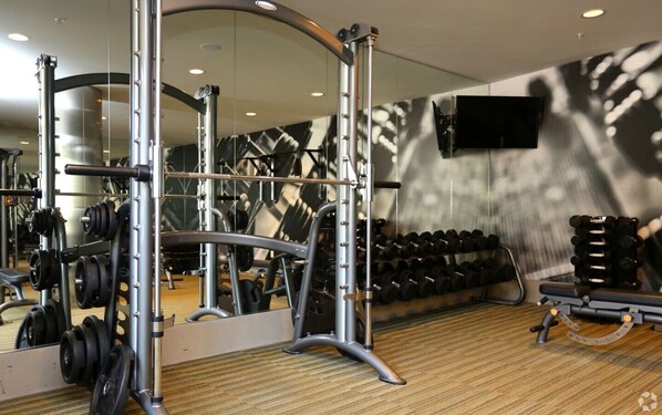 A gym with a squat rack, dumbbells, and a mirror.