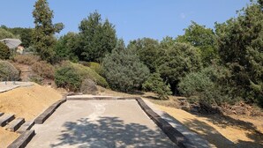Un área pavimentada con un borde de hormigón, rodeada de arbustos y árboles frondosos.