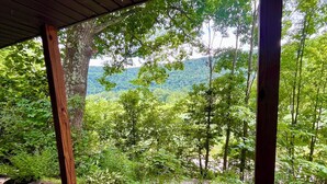 Une terrasse en bois couverte, agrémentée de plantes en pot et offrant une vue sur une colline boisée.