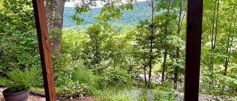 Une terrasse en bois couverte, agrémentée de plantes en pot et offrant une vue sur une colline boisée.