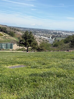 A grassy field with a building and a tree in the foreground, and a cityscape in the background. - Cozy 1-bedroom apartment in beautiful Colton with AC (Colton)