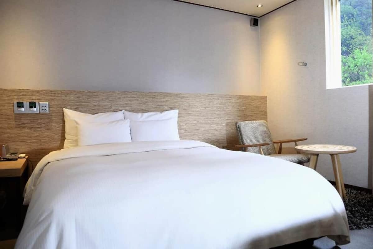Double Room, Mountain View