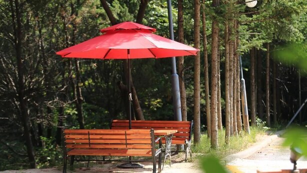 Parco della struttura