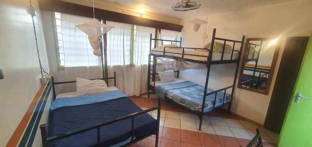 A dormitory room with bunk beds, a window with curtains, a hanging mosquito net, and a green door.