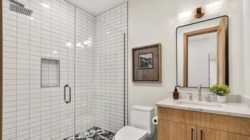 A modern bathroom with a shower, toilet, sink, and mirror.