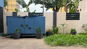 Zona cerrada con una reja azul de metal, plantas en macetas y suelo de madera.