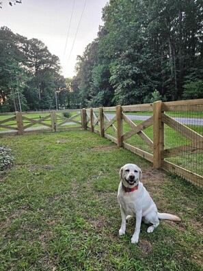 Fully fenced front yard and view of wooded private road and driveway entrance. - Waterfront Retreat with Private Dock (Heathsville)