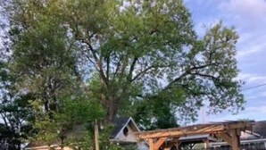Ein Garten mit einer Holzpergola, einer Holzbank und einem eingezäunten Bereich.