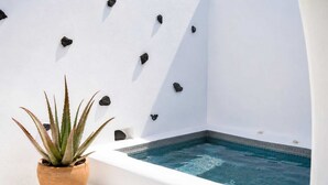 Wellnessbereich mit Whirlpool, einem Topf mit Aloe Vera und dekorativen Steinen an einer weißen Wand.
